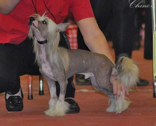 Picture