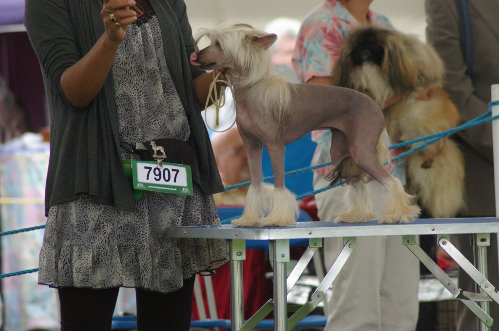 Mixkynz Nothing to Declare