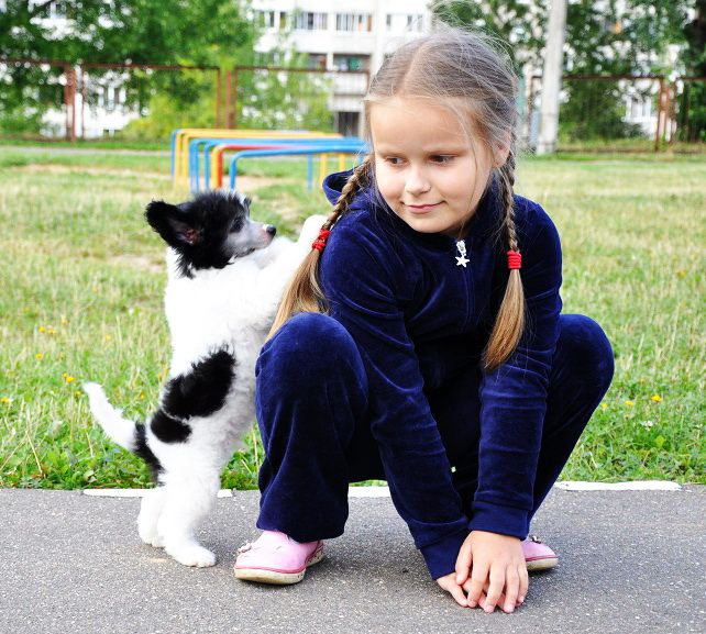 Picture