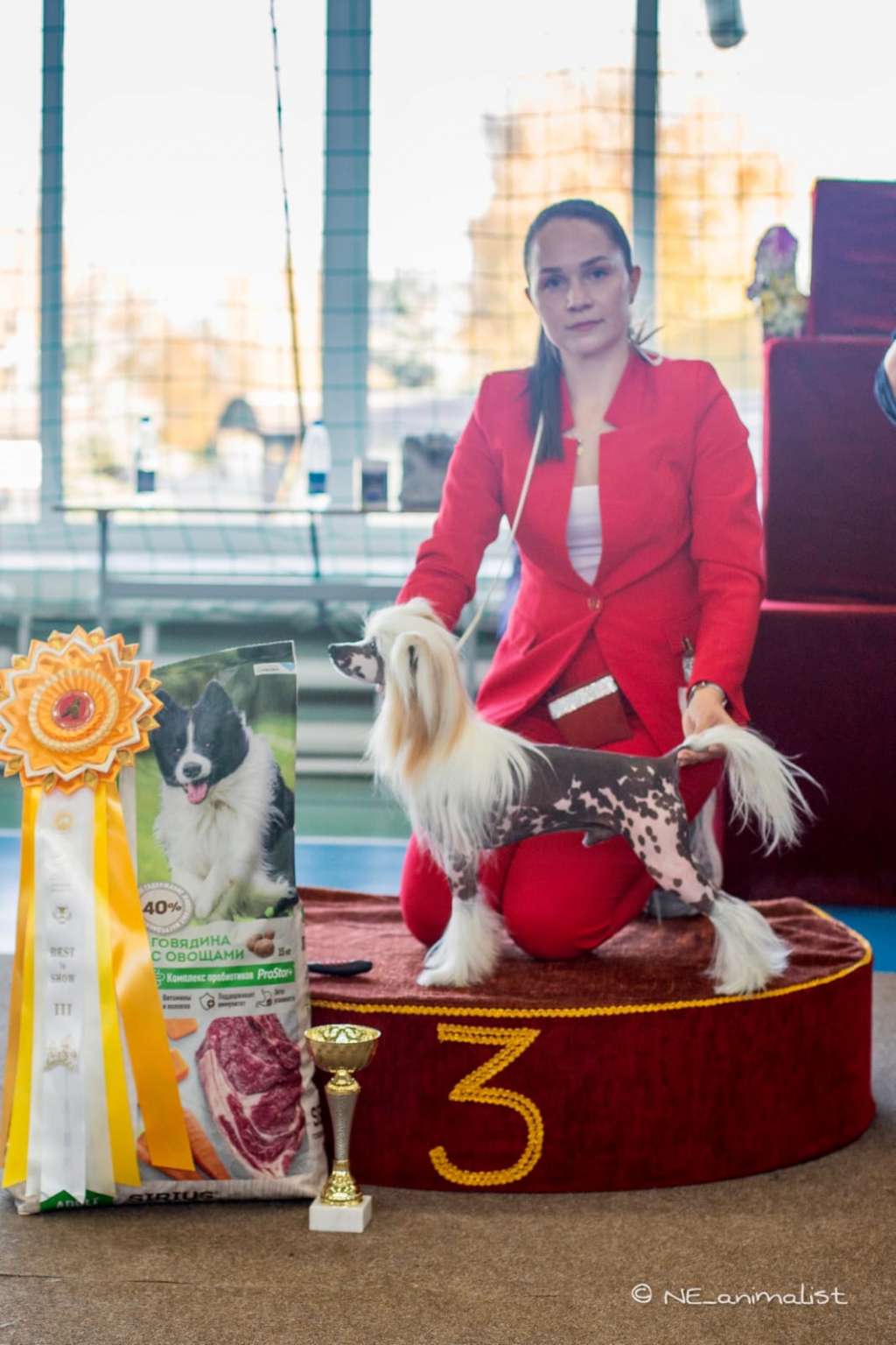 Baikal Dream Reason for Revolution