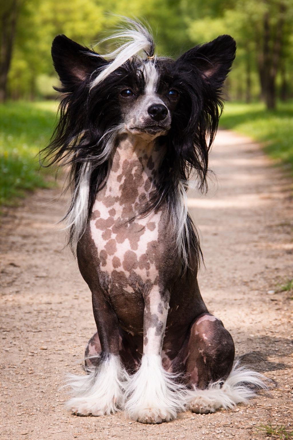Andrea Beaumont of the Bavarian Dream