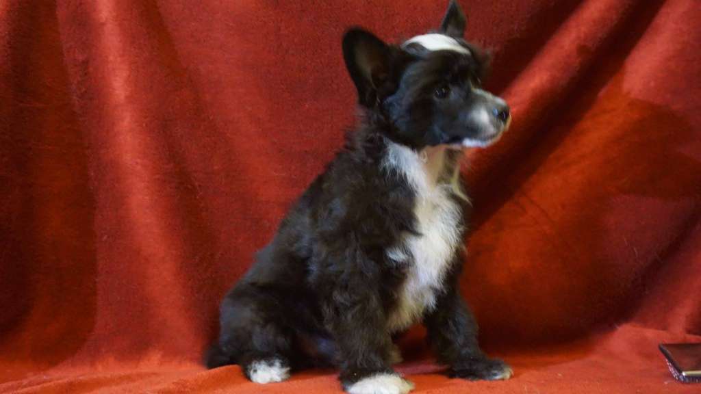 Florida Planet Of Dream