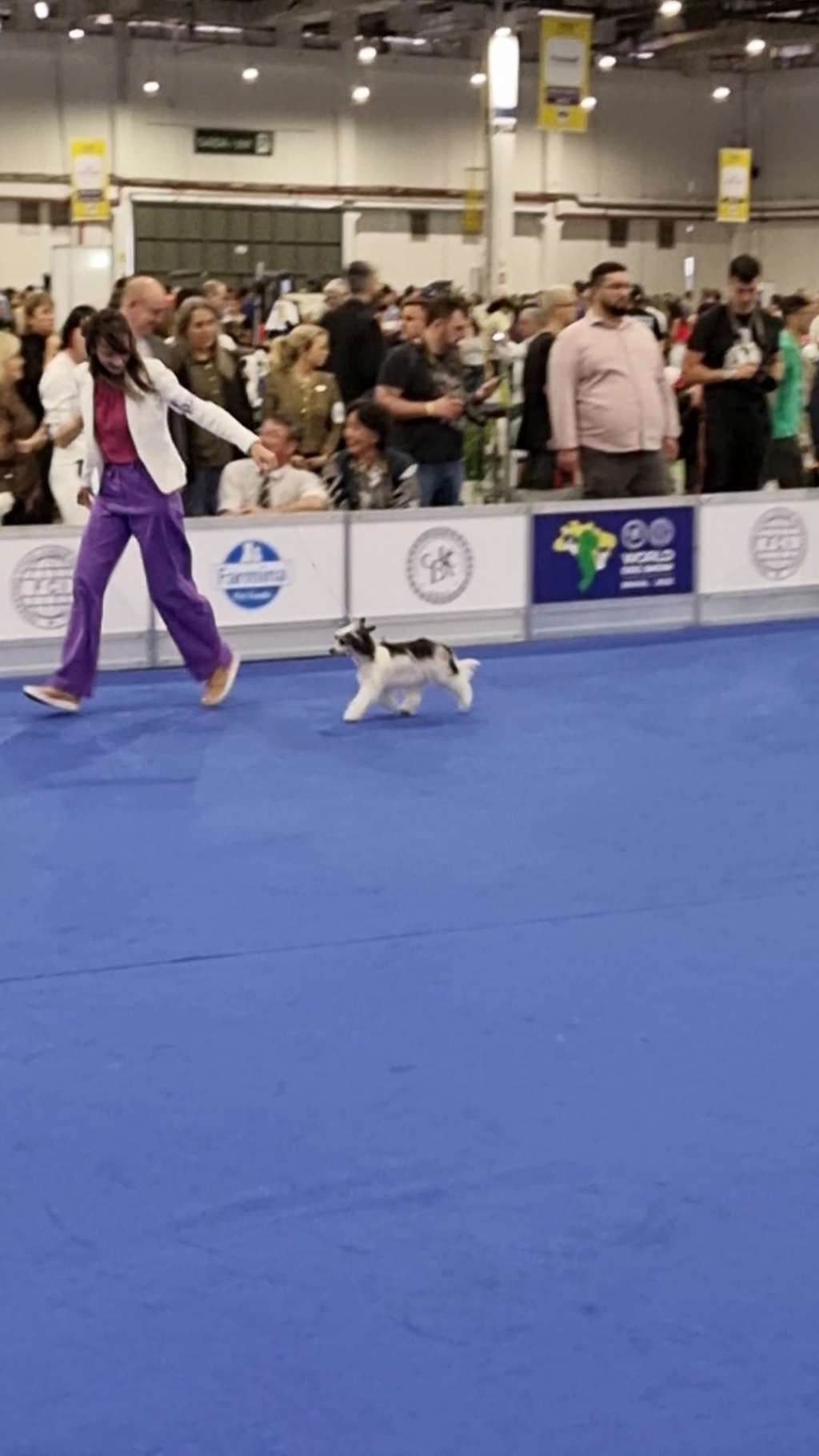 Quinta da Boa Crista Raisin Carménère