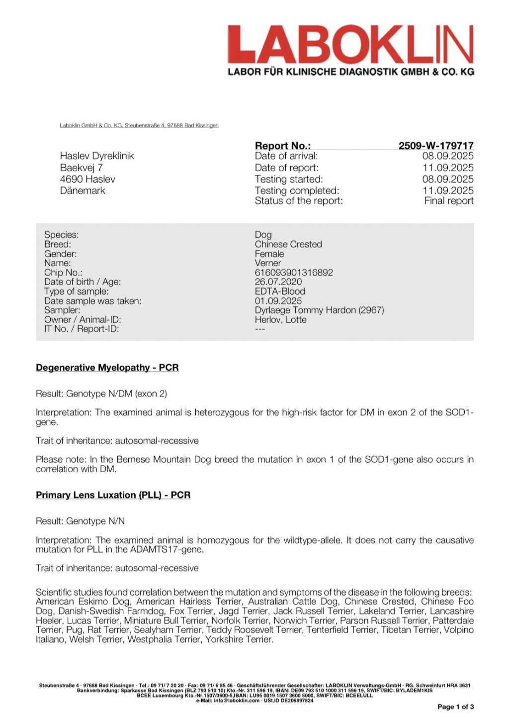 Versace Eros Juna Dogs