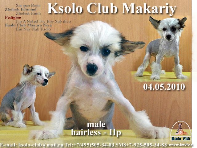 Ksolo Club Makariy