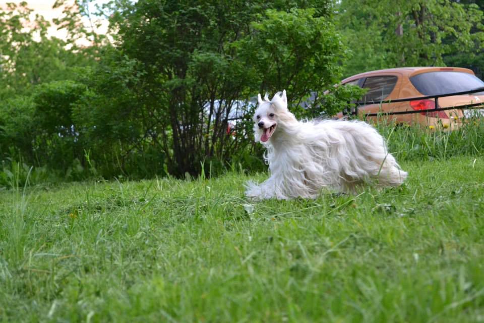 Omegaville Pretty As A Picture