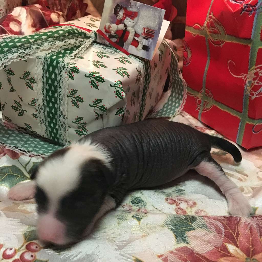 Picture