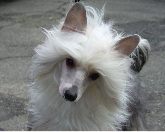 Jewels N Quantara Wickedly Sinful