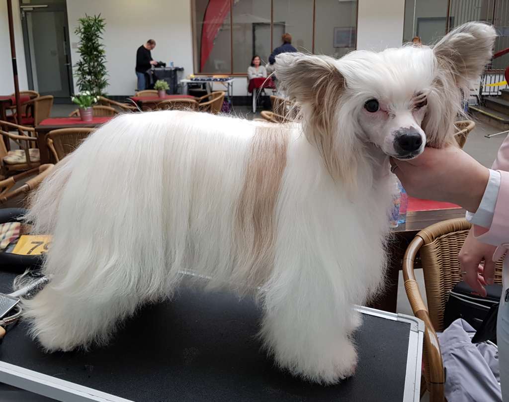 Maximilla's Crystal Image