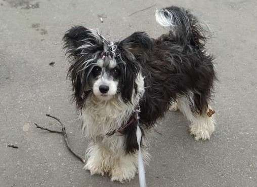 Sofiris Show Only For You