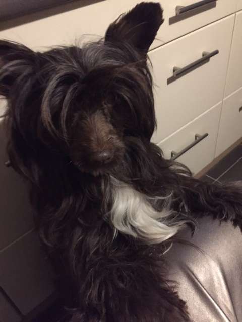 Diamentowa Dama Zaczarowany Flet