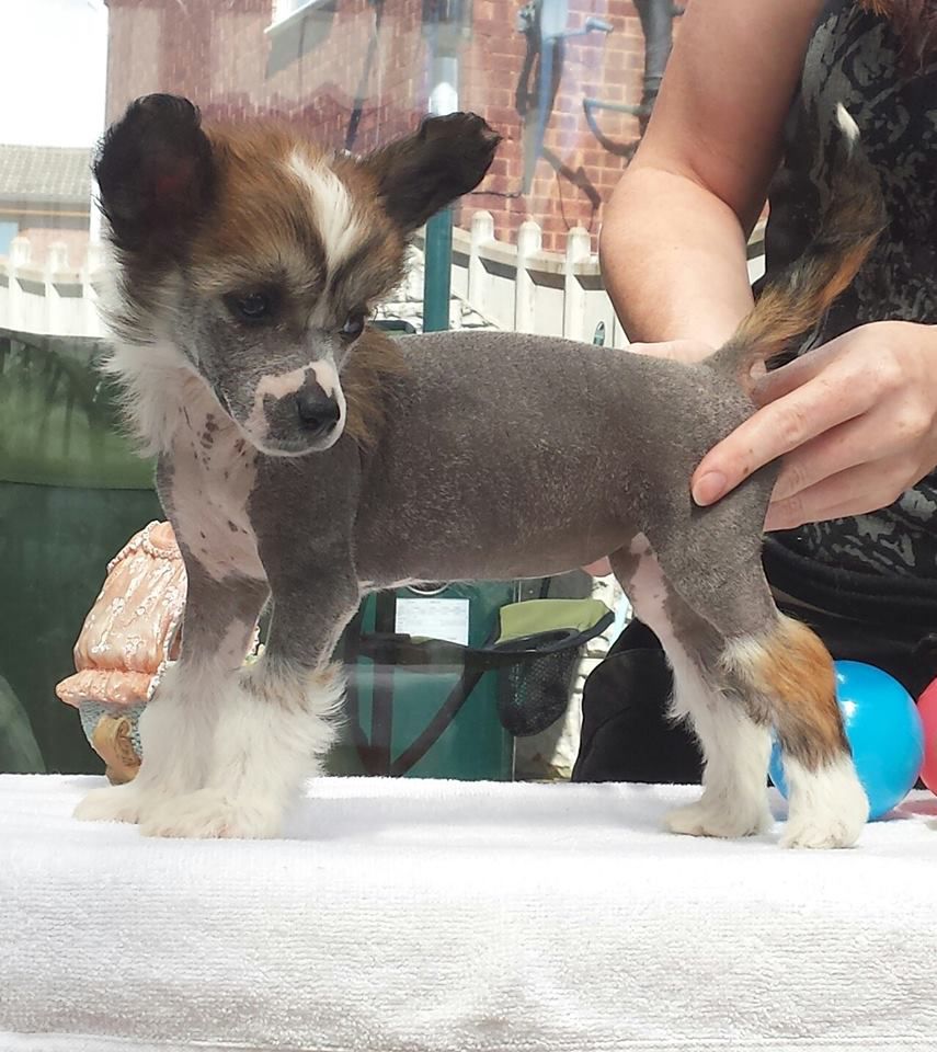 Pariansoez Top Milan