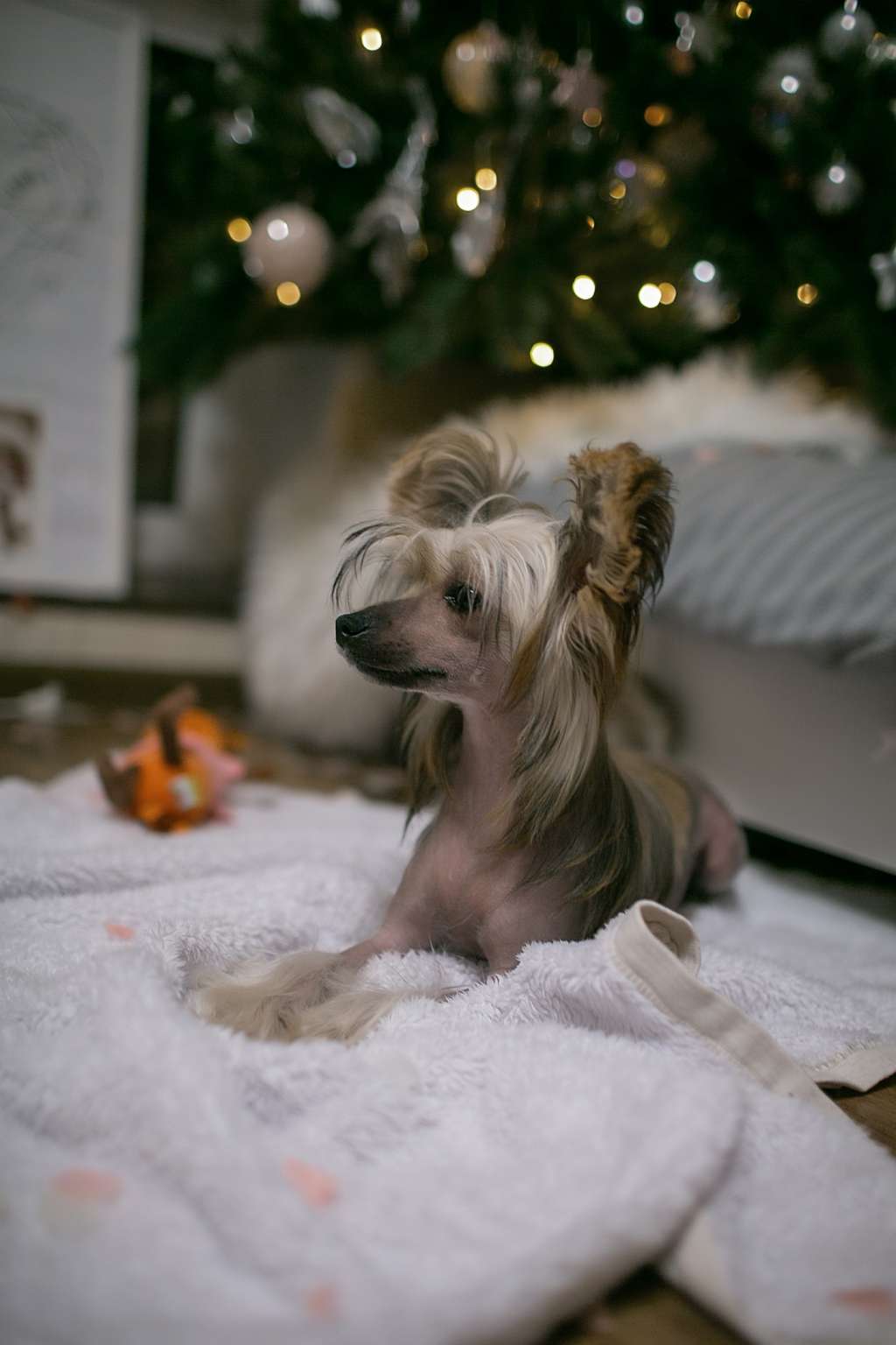 Luniks stail Le Rose