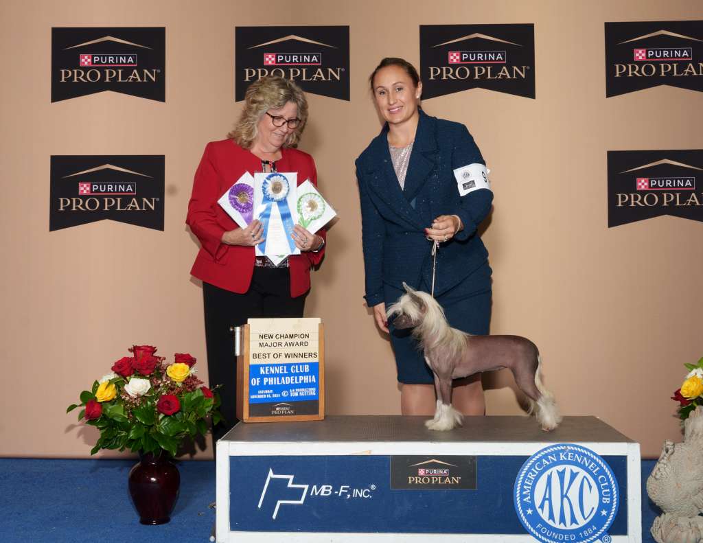 Ch Ace's Queen Nessa Of The Conera Isles Ca Fcat F