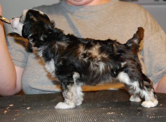 Zipolino's Passion Party Punch