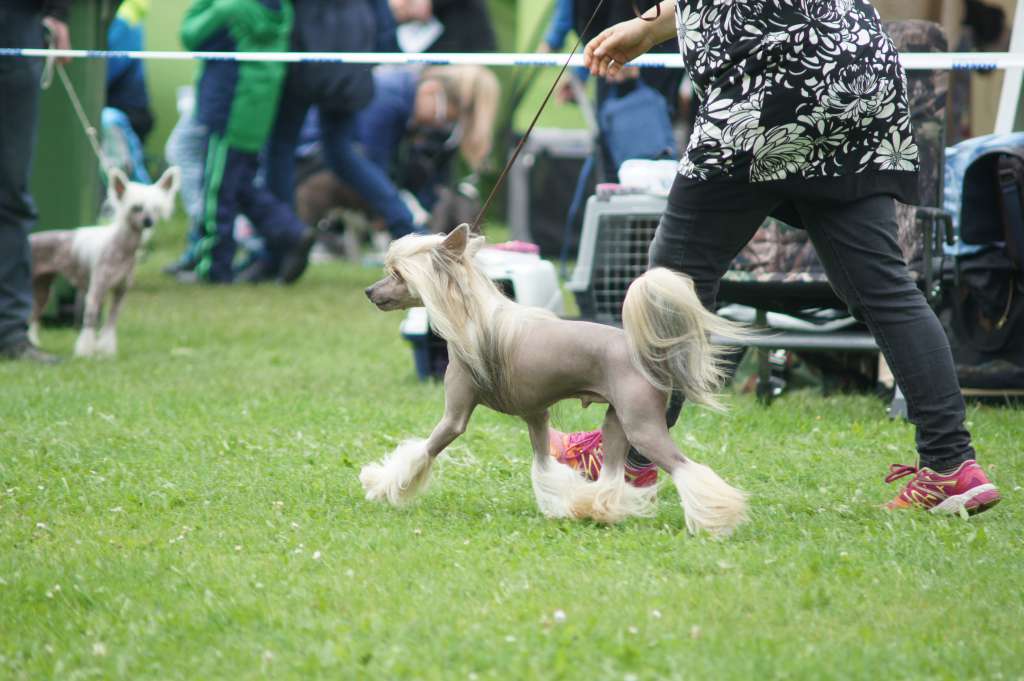 TYTUS Just Like Summer