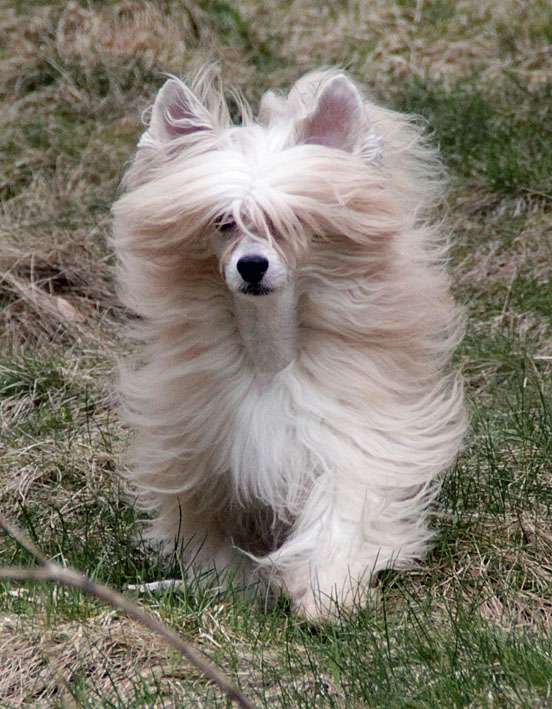 Omegaville What a Thriller