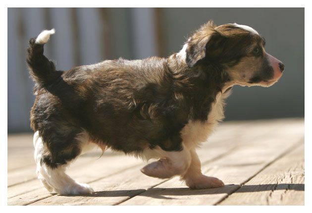 Gou's Knock You Down