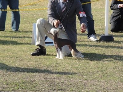 Mayu Treasures jp Kilara Dream-Love