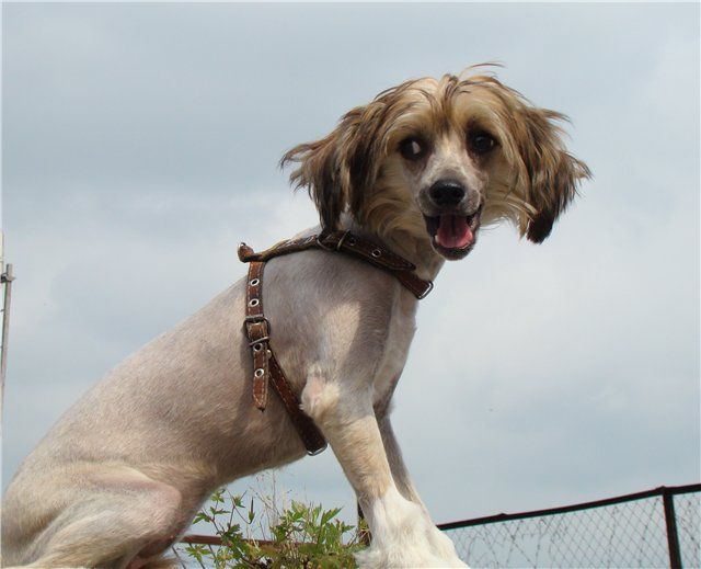 Kristal Yaniry Rubina