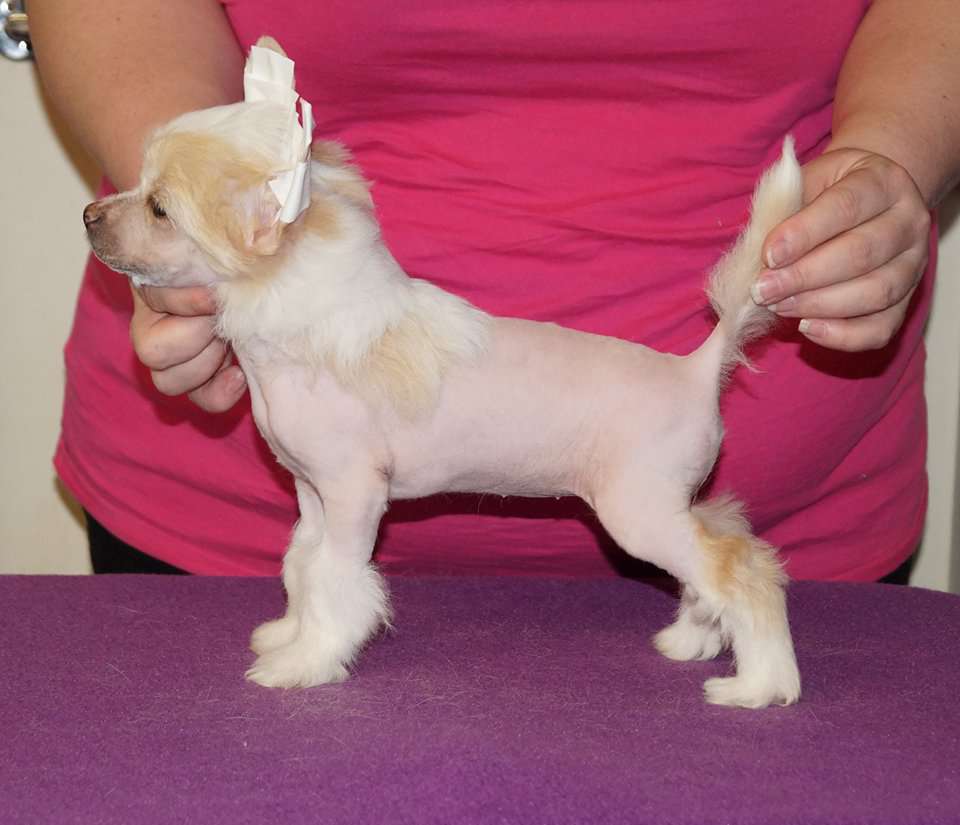 Sun Dan Hey, I'm Freezing