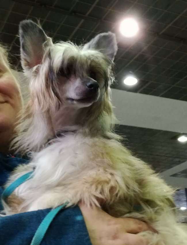 So-soft Honey Harmony