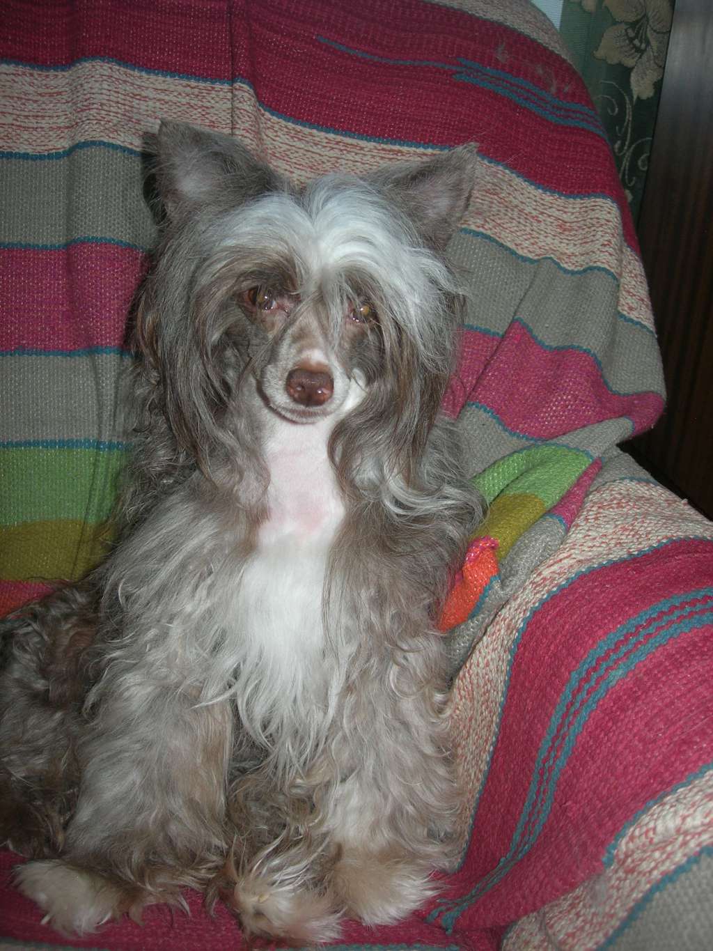 Vernisazh Mari Domingo