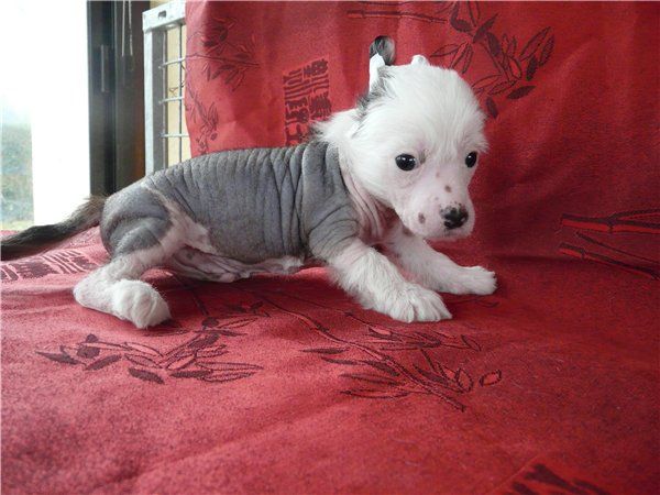 Subway Elegant Aramis