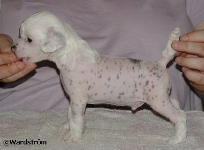 Twice as Nice Far Out