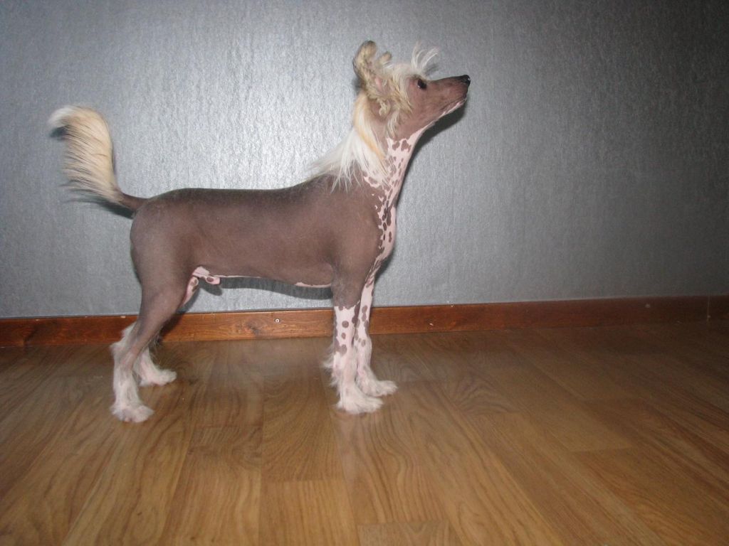 Lucky Line's Naked In Public