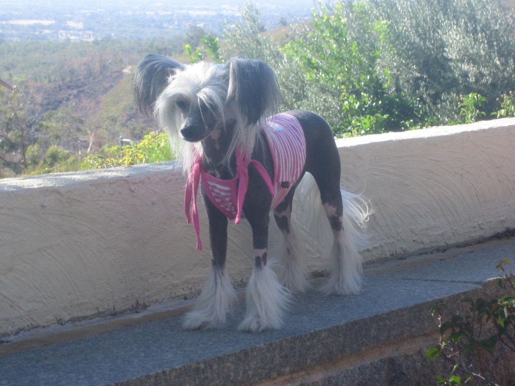 Wumao Ill Cry If I Want To