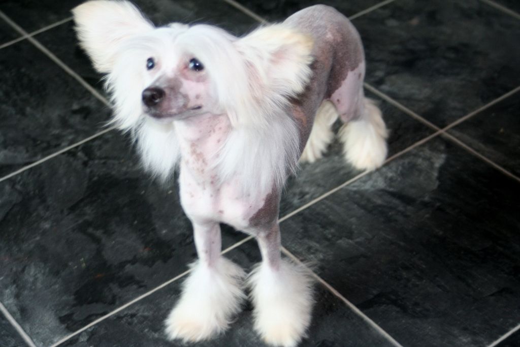 liddyleaze vampire kiss 