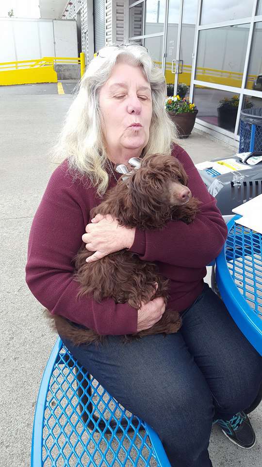 Muso Grazioso Best of Ukraine