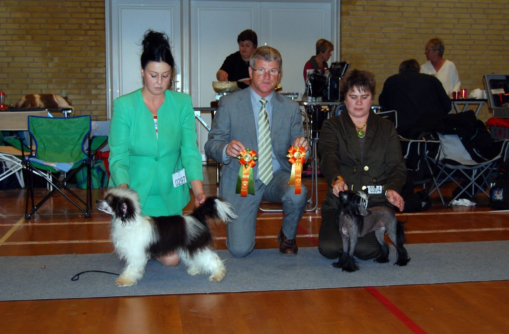 Taijan Dreamer Rockin Hells Kitchen