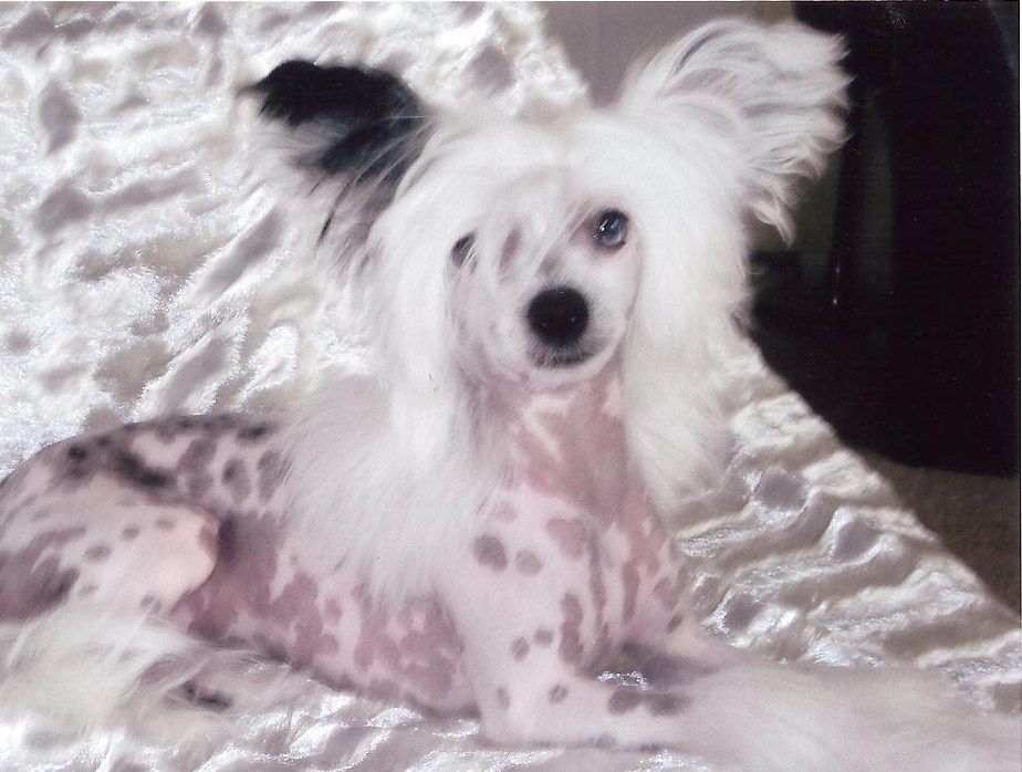 Creekside's Above the Clouds