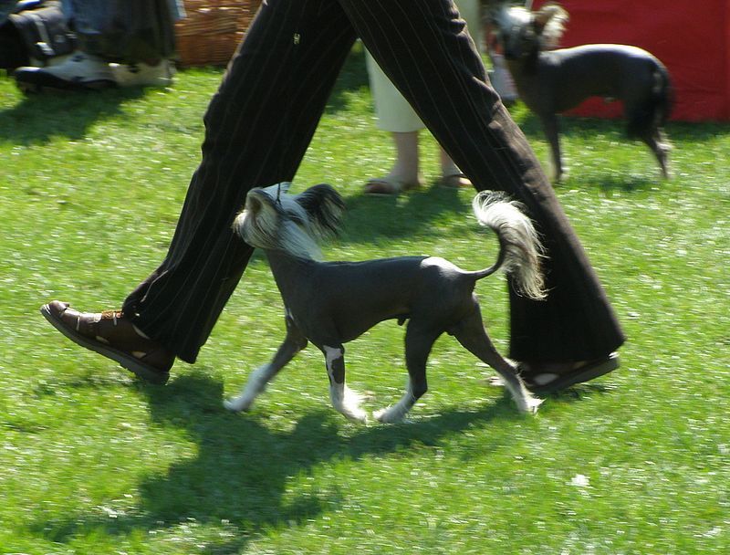 Picture