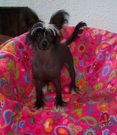 Solino's Xpect The UnXpected