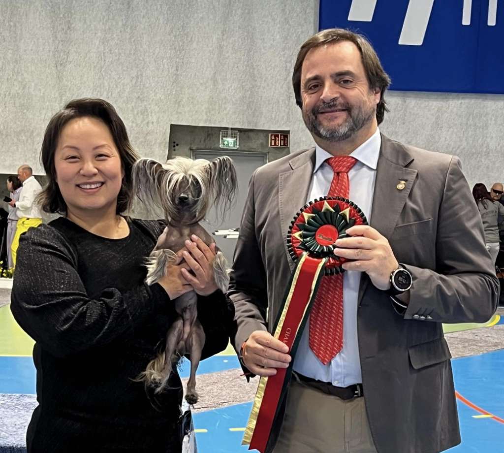 Artic Flyers The Chosen One