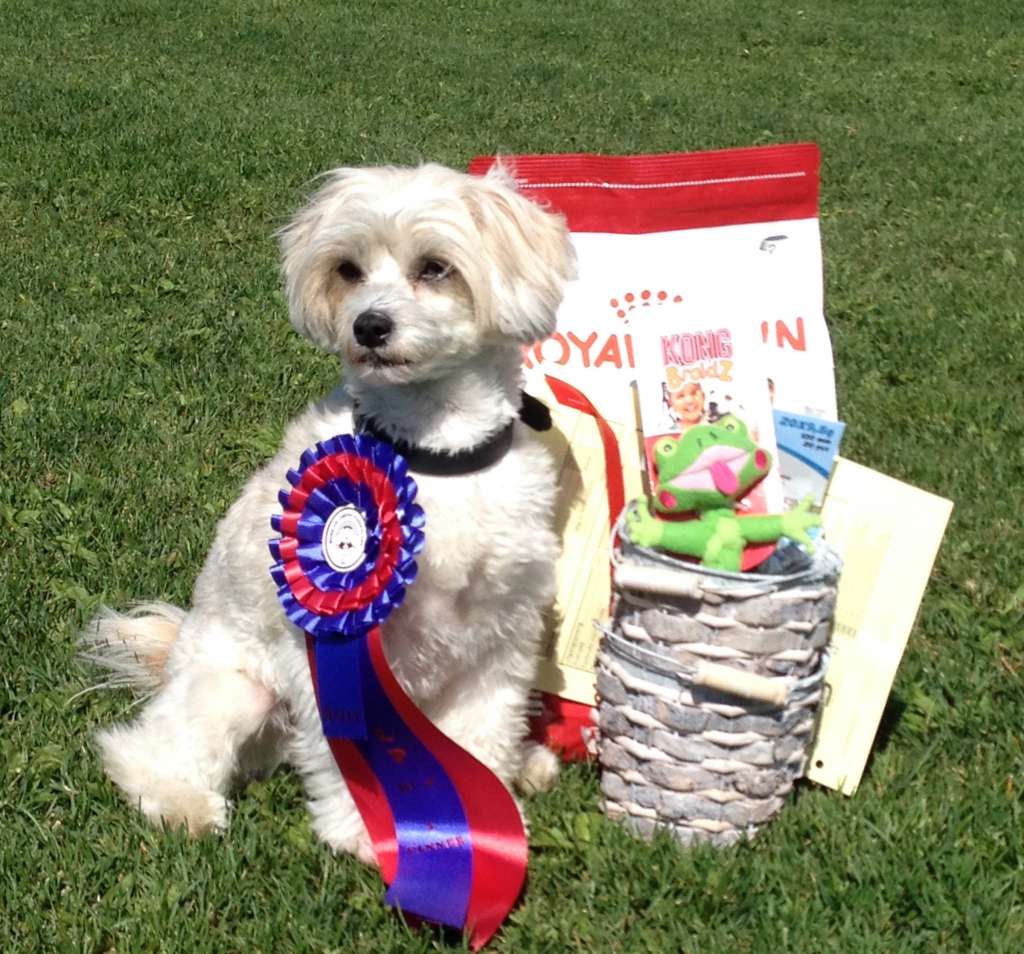 Solino's Diva De Soul