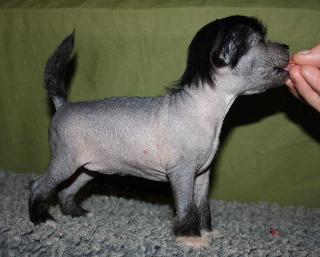 Picture