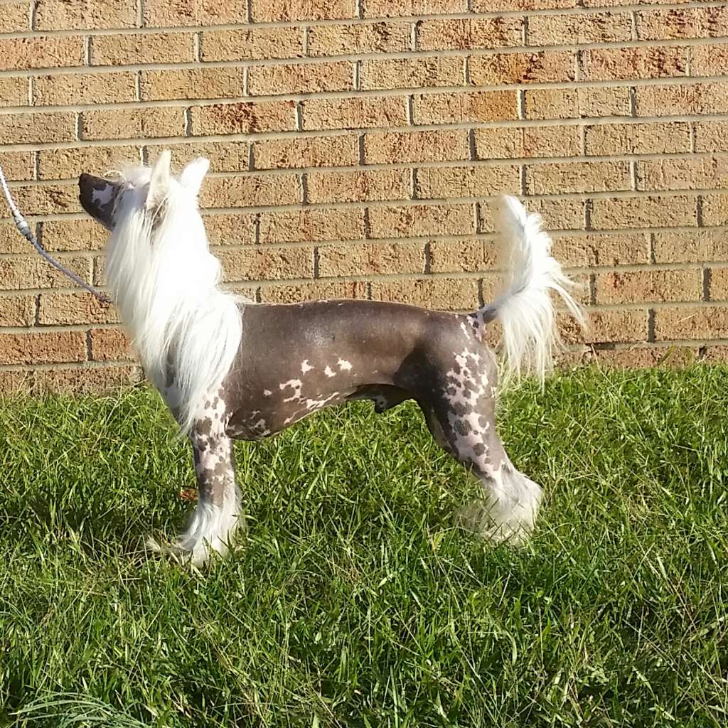 Famous Repeat Offender