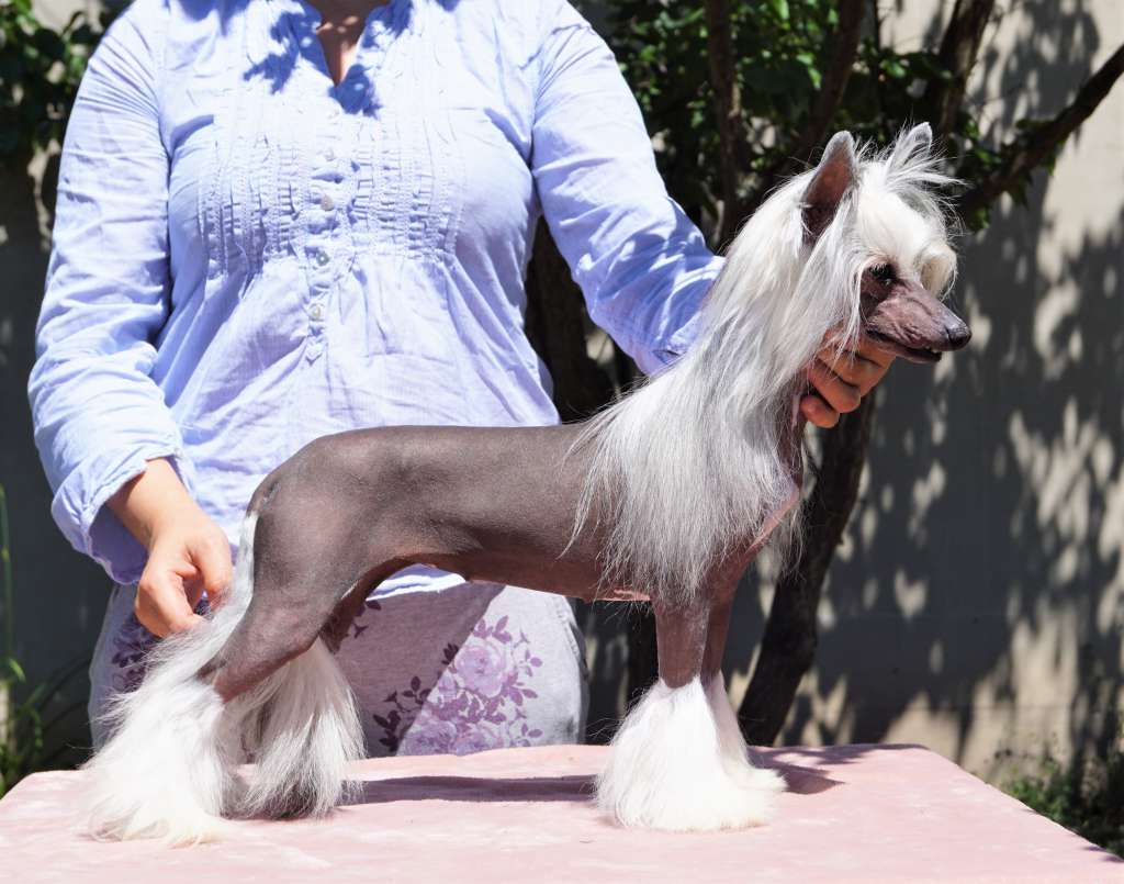 Haute Couture Heybett