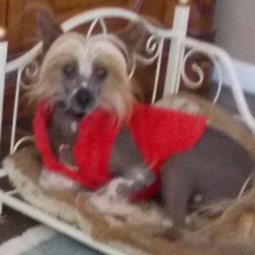 Houseofschreiharts Erick