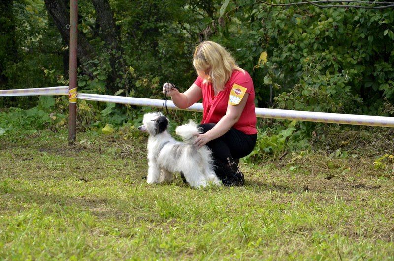 Shanel Glamour Yasmina Baby Doll