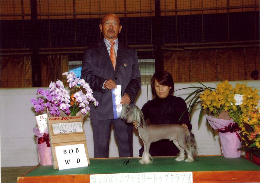 Twice as Nice Nobility of Le Peu