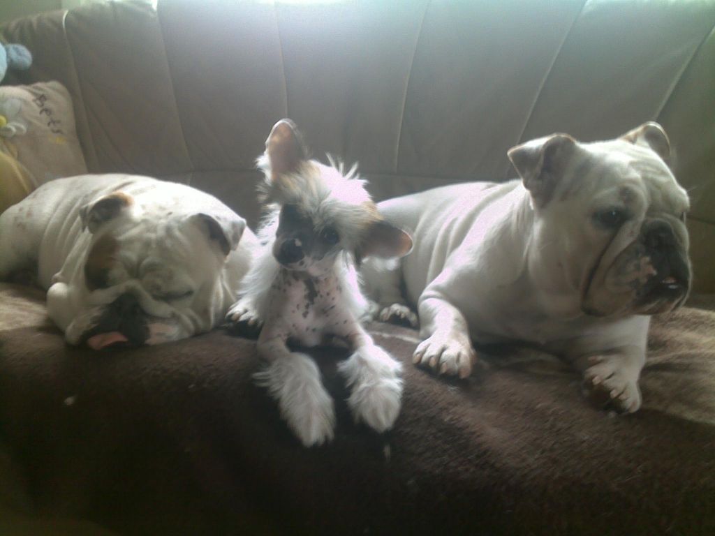 De La Mahafu's DiLove Jasmine