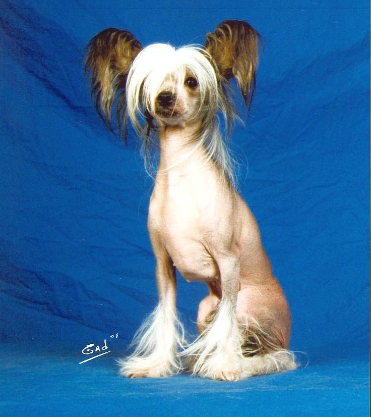 Tamaya Du Gue De Launay