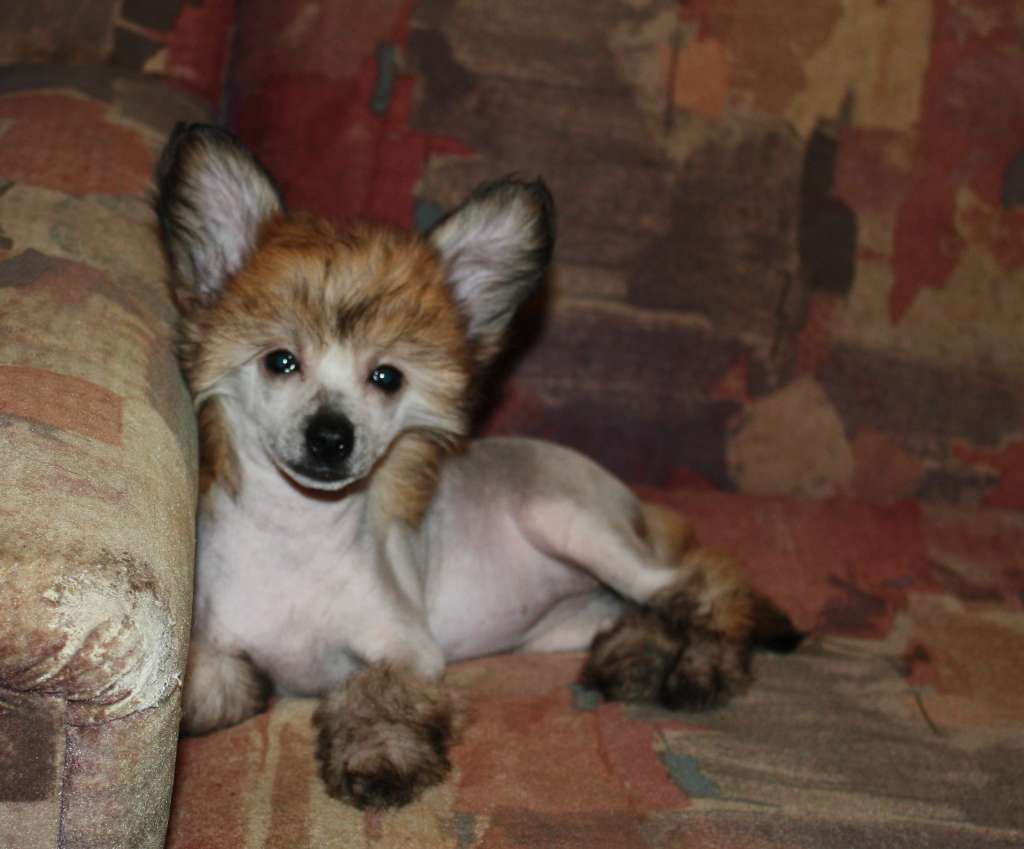 Majesty Magdalena Queen Malverne