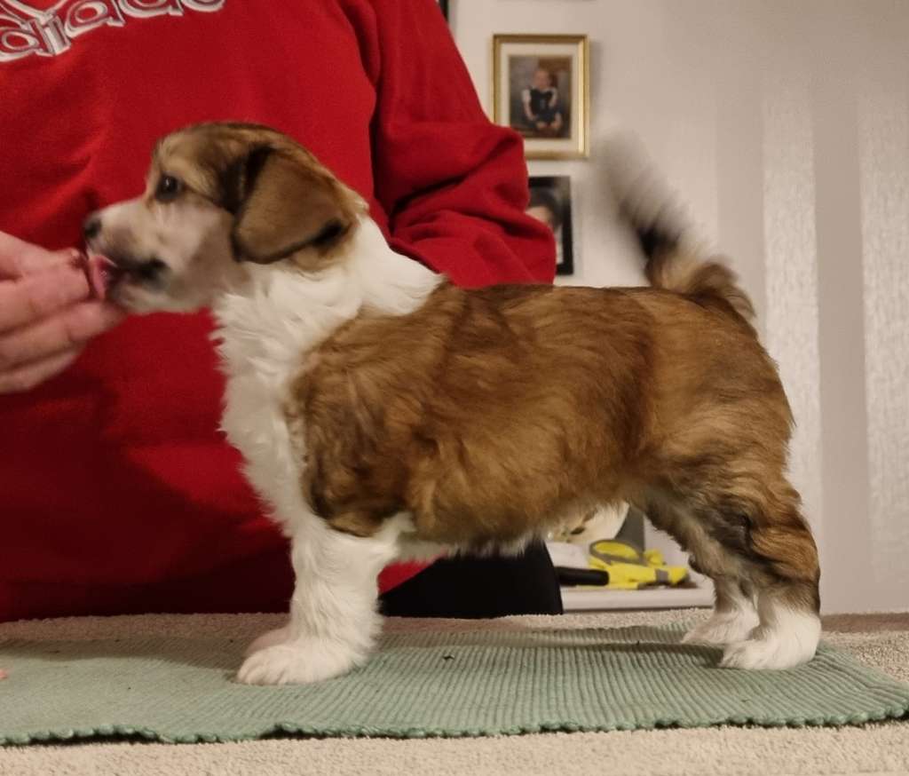 Crestwood That's All Folks