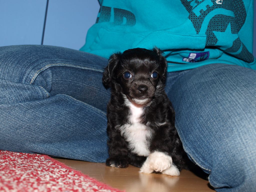 Thunder and Lightnings Geena Davis